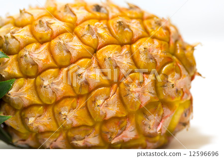 Close-up of pineapple (milk pine) Close-up of pineapple (milk pine) 12596696