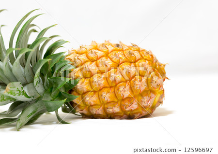 Okinawa pineapple, soft touch Okinawa pineapple, soft touch 12596697