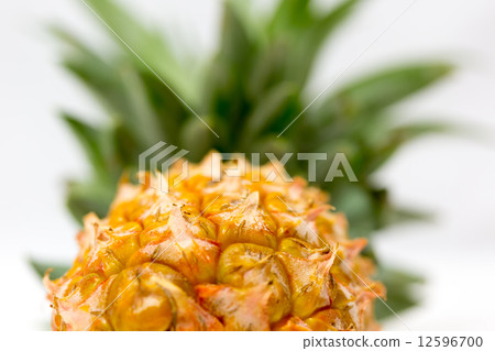 Okinawa pineapple, soft touch Okinawa pineapple, soft touch 12596700