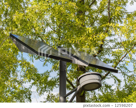 Street light with solar panel 12598207