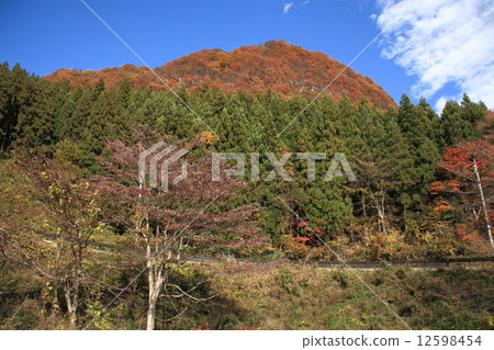 Apto's path colored by autumn leaves 12598454