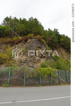 A large tune from the paleo-stratum sedimentary chart (Kodami-mura, Nagano prefecture) A large tune from the paleo-stratum sedimentary chart (Kodami-mura, Nagano prefecture) 12598471