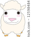 sheep  12598484