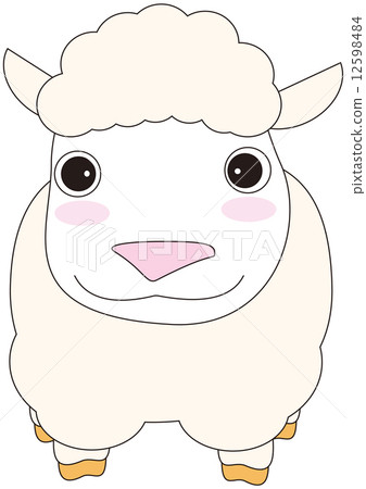 sheep sheep 12598484
