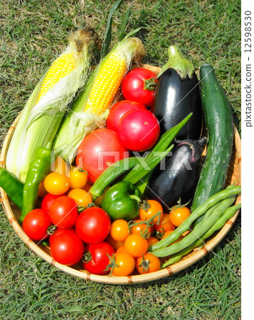 夏季蔬菜點菜 夏季蔬菜點菜 12598530