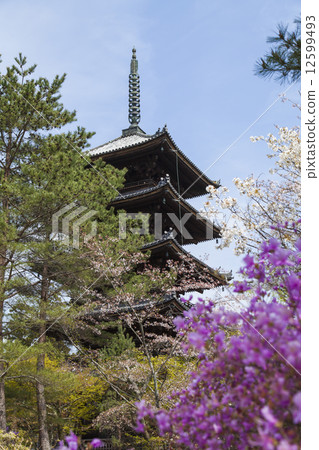 Ninna-ji 5-storied pagoda Ninna-ji 5-storied pagoda 12599493