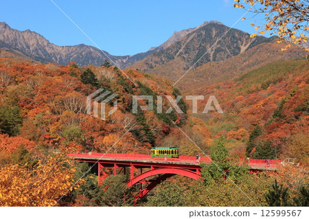 Yatsugatake autumn leaves Yatsugatake autumn leaves 12599567