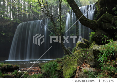 納布加拉瀑布 12599570