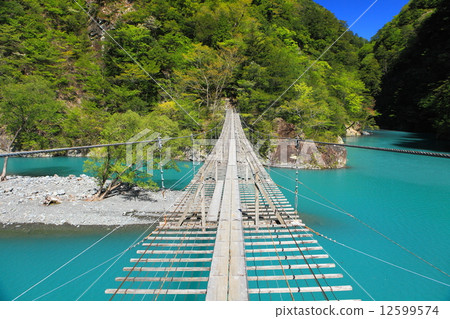 Suspension bridge 12599574