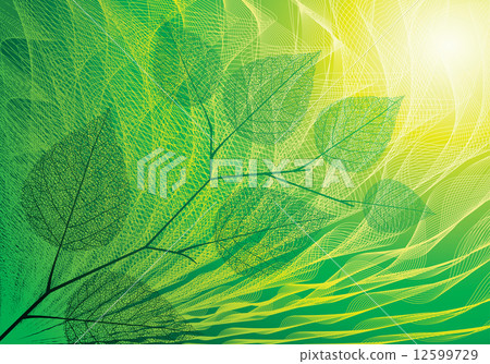 Summer background 12599729