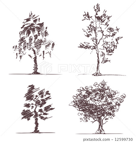 Set of four sketches trees Set of four sketches trees 12599730