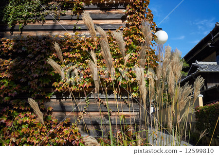 Arima Onsen Autumn townscape Arima Onsen Autumn townscape 12599810