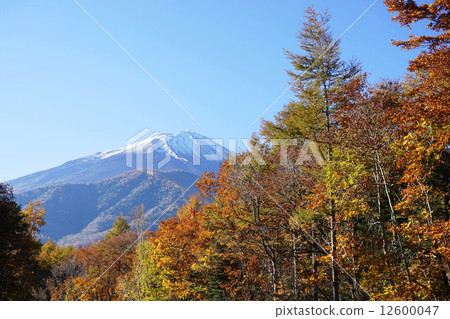 10月風景·富士山586秋葉從富士斯巴魯線 12600047