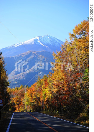 十月風景·富士山585秋葉從富士斯巴魯線 十月風景·富士山585秋葉從富士斯巴魯線 12600048