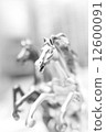 Abstract horse race 12600091