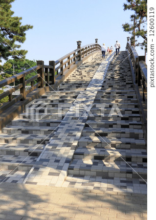 百度橋 12600119