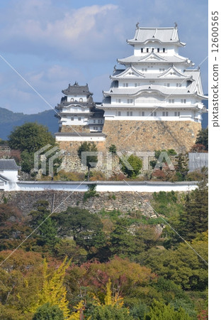 National treasure Himeji castle 12600565