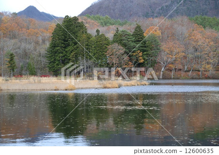 觀音沼澤 12600635