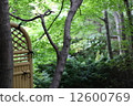 A box garden 12600769