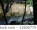 A box garden 12600770