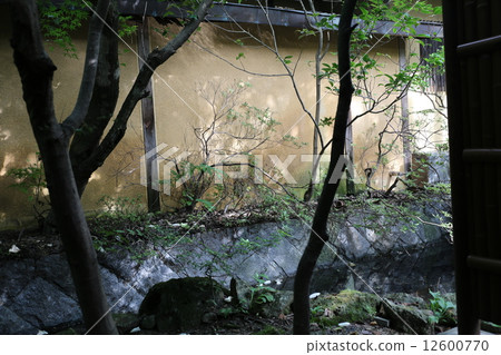 一個盒子花園 12600770