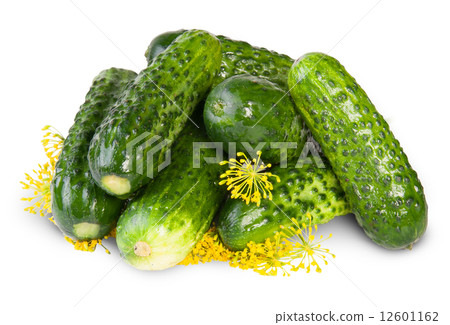 Fresh Cucumbers And Dill 12601162
