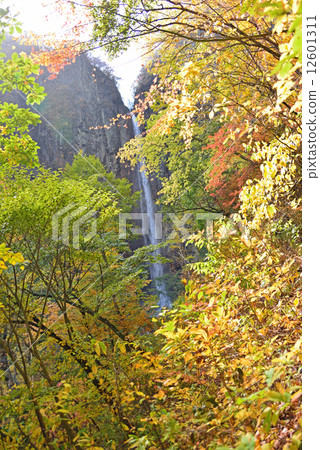 Autumn waterfall of 2014 fall 12601311