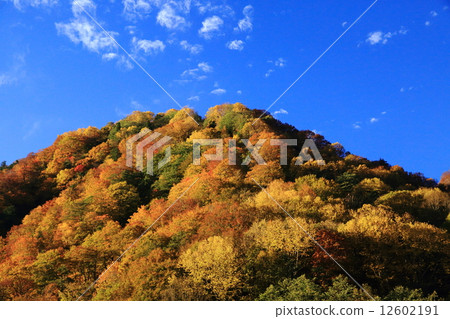 秋季圖案 12602191