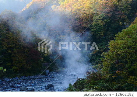 秋季圖案 12602192