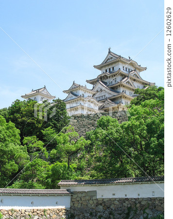 A castle 12602629