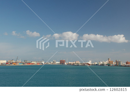 Xing Xin New Port 12602815