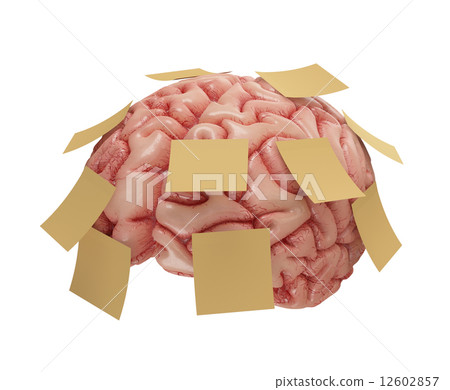 Memory Sticky Notes - Stock Illustration [12602857] - PIXTA