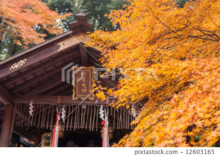 Nomiya shrine main hall 12603165