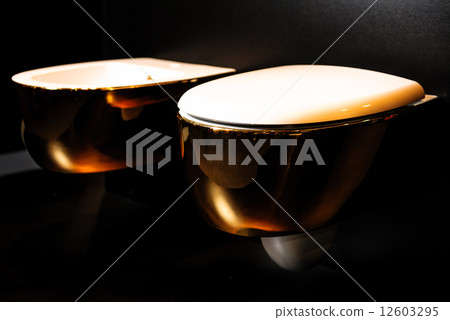 Golden toilet and bidet 12603295