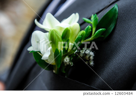 Buttonhole 12603484
