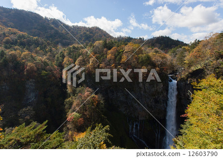 Waterfall Waterfall 12603790