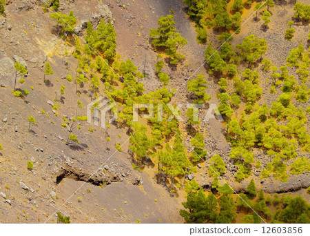 Volcano San Antonio in Fuencaliente on La Palma 12603856