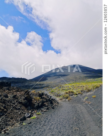 Volcano San Antonio in Fuencaliente on La Palma 12603857