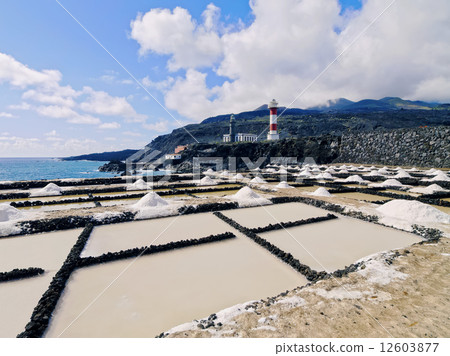 Salinas de Fuencaliente, La Palma Salinas de Fuencaliente, La Palma 12603877