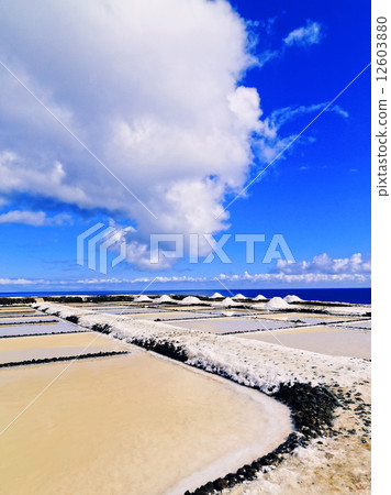 Salinas de Fuencaliente, La Palma 12603880