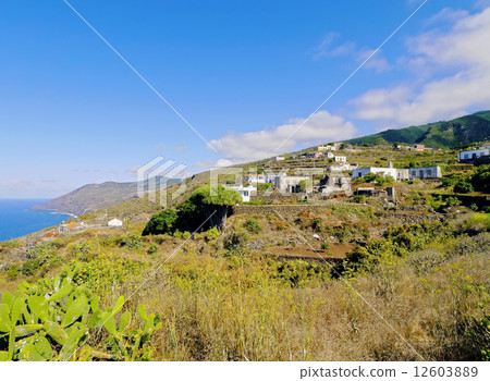 La Palma, Canary Islands 12603889