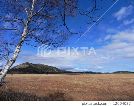 秋天荒野 秋天荒野 12604022