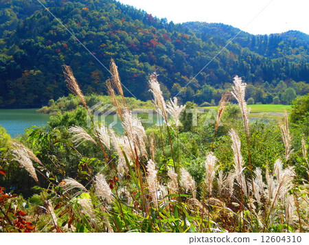 山的Susuki 12604310