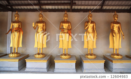 Golden Buddha Statues in Thai temple 12604983