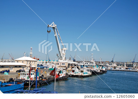 Victoria and Alfred Waterfront, Cape Town, South Africa. 12605060