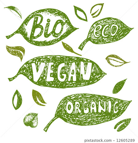 Hand drawn Organic food labels and elements - Stock Illustration ...