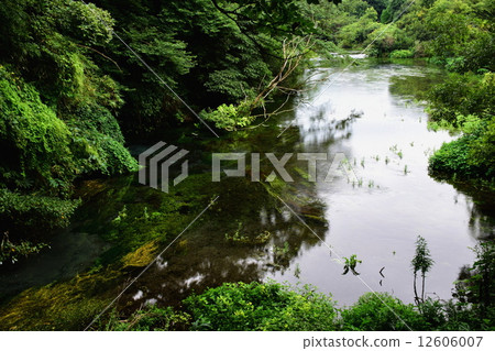 靜岡縣清水町Kakita河春天春天第1觀察平台·水源名100水選 靜岡縣清水町Kakita河春天春天第1觀察平台·水源名100水選 12606007