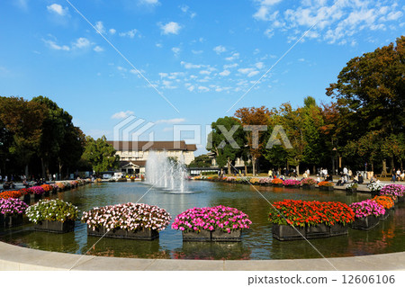 上野公園的大噴泉和五彩繽紛的日間草地的花壇 12606106
