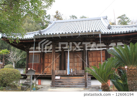 奈良縣生駒市的柚子女武帝佛教霍道寺 奈良縣生駒市的柚子女武帝佛教霍道寺 12606194