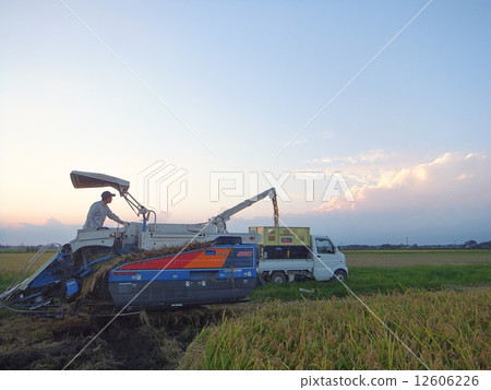 Dusk of autumn 2 ~ Harvest of new rice ~ (Some of the day in the same composition, N. 12465394 ~ 5) Dusk of autumn 2 ~ Harvest of new rice ~ (Some of the day in the same composition, N. 12465394 ~ 5) 12606226